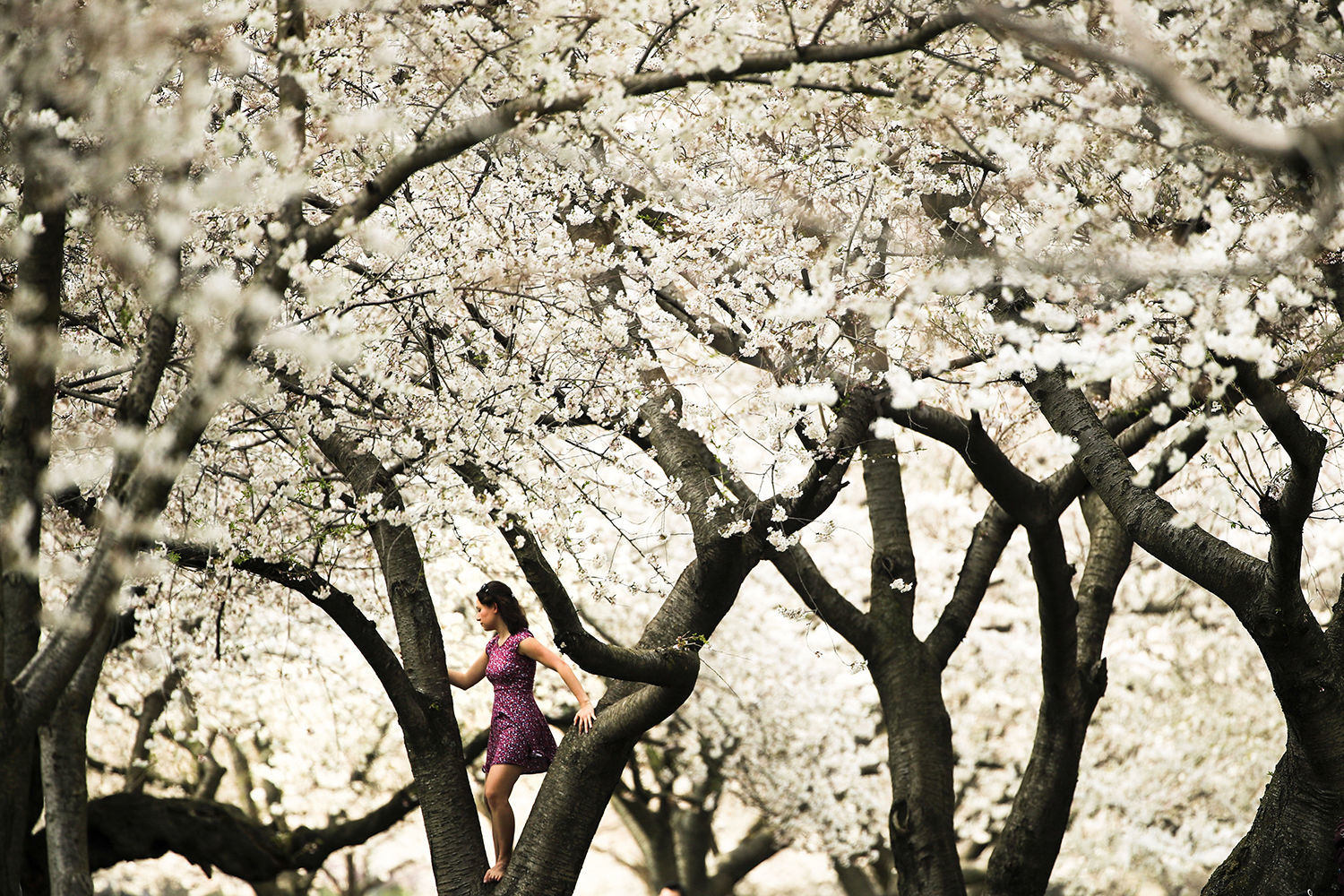 Photos: Associated Press Photos of the Week